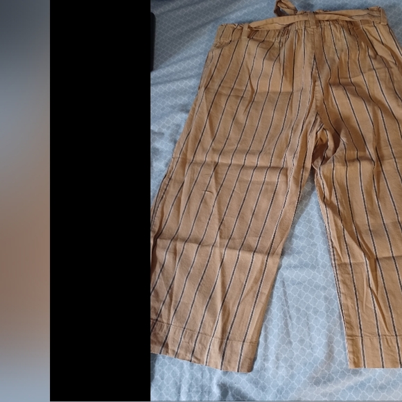 J.Jill Linen Stretch 2X (Fit 38W 23L) Pull On Belted High Rise Pants tan - Picture 6 of 6